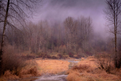 Dan Welyk - After the Rain