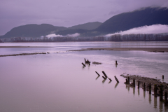 Dan Welyk - Gloomy River