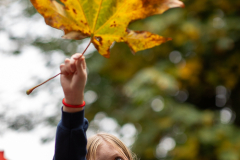 Chris Buxton - Biggest Leaf